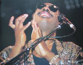 Stevie Wonder